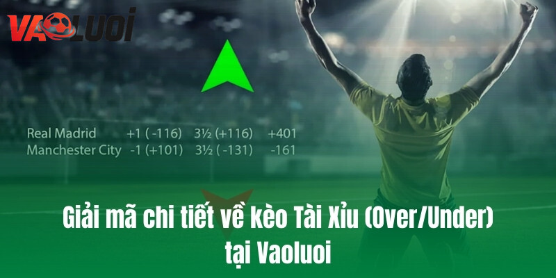 Giải mã chi tiết về kèo Tài Xỉu (Over/Under) tại Vaoluoi