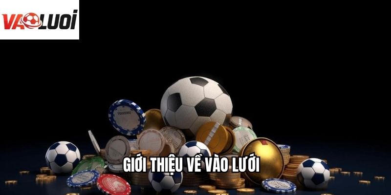 Giới thiệu về Vào Lưới  