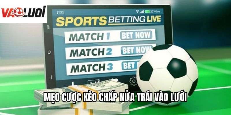 Mẹo cược kèo chấp nửa trái Vào Lưới 