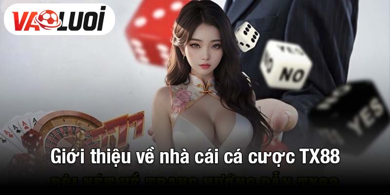 Giới thiệu về nhà cái cá cược TX88